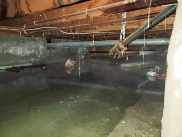 Garfield, TX Water damage restoration Company