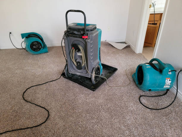 Best Flood damage cleanup  in Garfield, TX