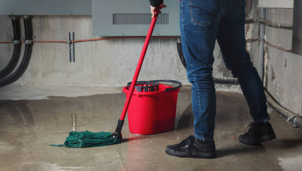 Best Professional water damage repair  in Garfield, TX