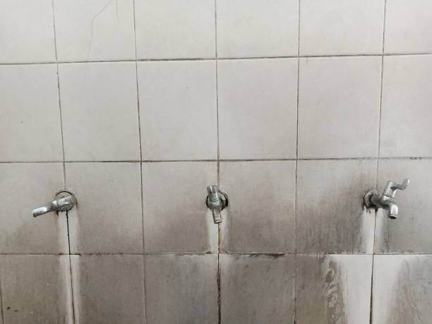 Best Basement water damage restoration  in Garfield, TX