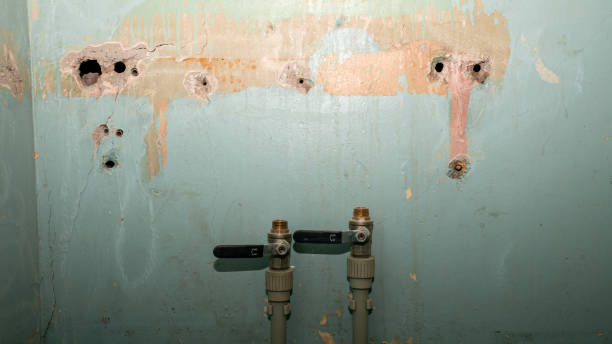 Best Residential water damage restoration  in Garfield, TX