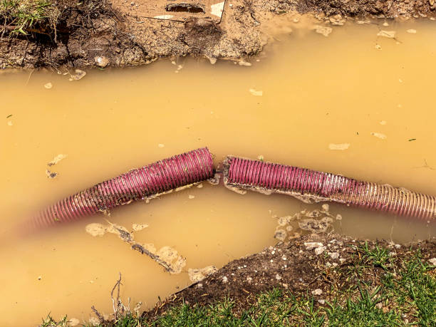Best Water damage cleanup near me  in Garfield, TX