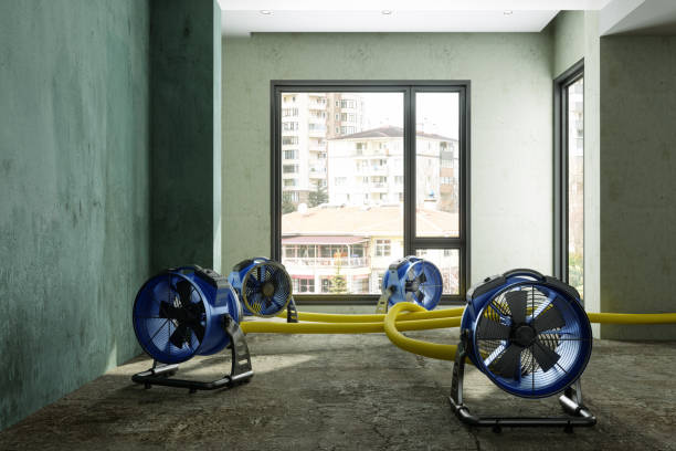 Best Residential water damage restoration  in Garfield, TX